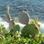 Jan Parker Schilling's profile image