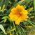 Diane Kellar Stell's profile image
