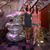 Jennifer Knox Jacobs's profile image