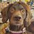 Helen McKenney's profile image