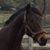Kate Bostrom's profile image