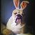 Willow McGee's profile image