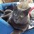 Gail Ramsay Pageau's profile image