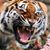 Dale E. Hunt's profile image