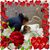 Malia Sturgeon Farler's profile image