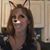 Susan Klein-Dobleman's profile image