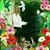 Gloria Ferrer's profile image
