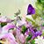 Mary Carolyn McKenna's profile image