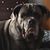 Pj N R Routt's profile image