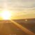 Stacye Hendree's profile image