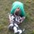 Patti Reed's profile image