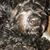Dianne Locklear Casey's profile image