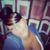 Mary Bilge's profile image