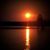 Shannon Brawner Carter's profile image