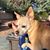 Michelle Wafer's profile image