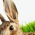 Kaki Dimock's profile image