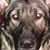 Deb Olson's profile image