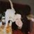 Diane Hansen Otterstrom's profile image