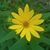 Lisa Thompson's profile image