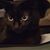 Beth Shipman Alm's profile image