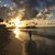 Lisa Brady Robotti's profile image
