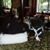 Polly Colleen Hines's profile image