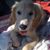 Val Mulcahey's profile image
