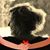 Angela Perry Esteves's profile image