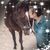 Sarah Mitchell's profile image