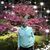 Linda Foss's profile image
