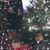Velmita Perez's profile image