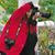 Sydney Bearman Alberg's profile image