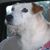 Richarda Moss's profile image