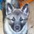 Amy Fleckenstein Peterson's profile image