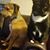 Gail Zercie's profile image