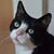 Doris Rif's profile image