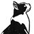 Stephanie Kodakya Phillips's profile image