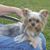 Judy LeRoy's profile image
