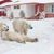 Mark A. Haggerty's profile image