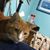 Nancie Barnett's profile image