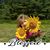 Barbara Watkins Poole's profile image