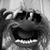 Shane Tidswell's profile image
