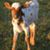 Terry Kandel's profile image