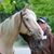Kathleen Hugh-Tuza's profile image