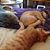 Patti Kuhns Le Blanc's profile image