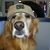 Gary Johns's profile image