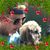Kathy Allen Orr's profile image