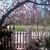 Susan Harris's profile image