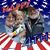 Ben Brewer's profile image