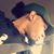 Pedro Del Rosario's profile image